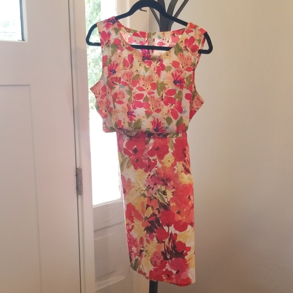 Talbots blouse and Charter Club skirt, size L/P